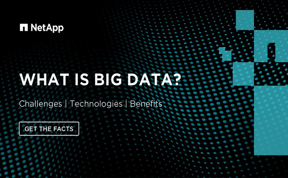Big Data Analytics Tools NetApp