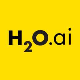H2 Driverless AI automates the key areas of machine learning
