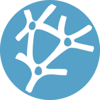 Neural networks are said to be one of the most successful machine learning methods.